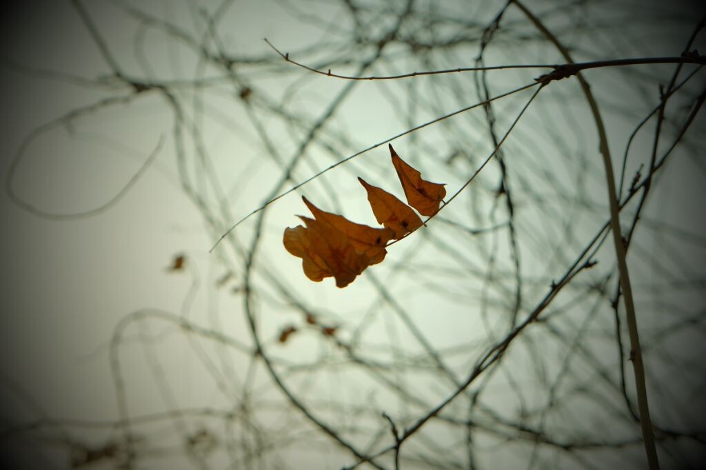 WHERE'S THE SPRING?--20140216