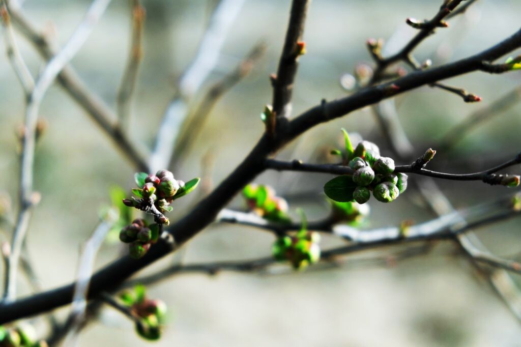 SPRING--20140312<br />
