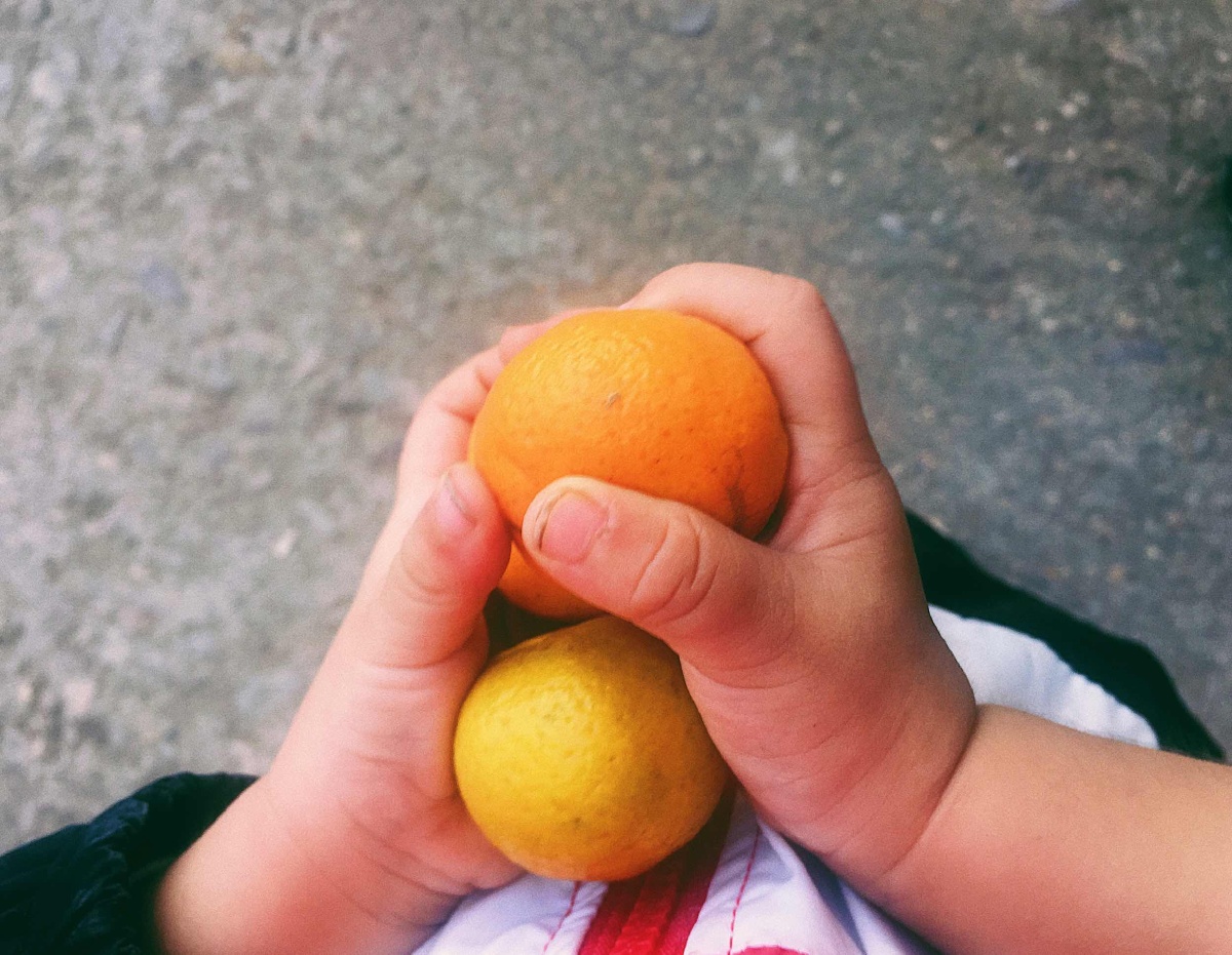 村里的佛手爷爷送的橘子孩子捧在手心78