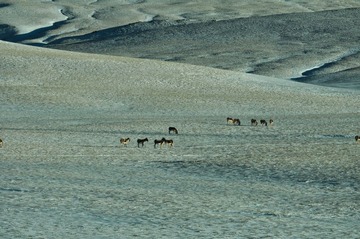 DSC_0125.jpg