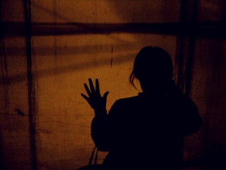 DSC02906_