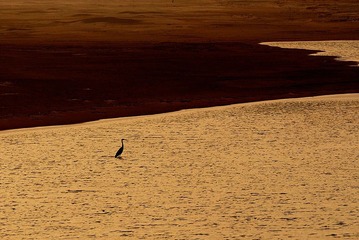 _DSC0101