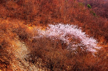 _DSC0090