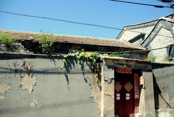 DSC_0726.JPG