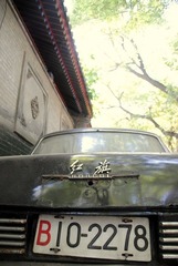 DSC_0772.JPG