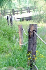 DSC_0825.JPG