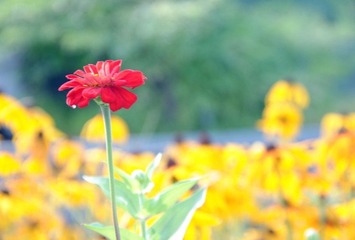 DSC_0856.JPG