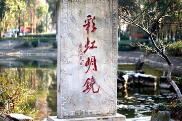 DSC02574_