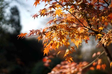 DSC02580_