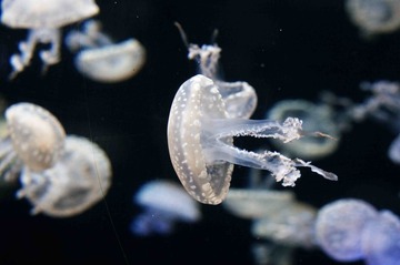 DSC02758_
