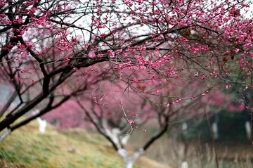 DSC03391_