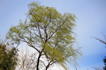 IMG_0771.JPG