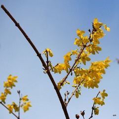 IMG_0774.JPG