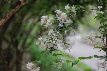 IMG_3112.JPG