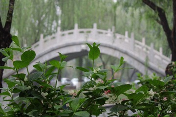 IMG_3116.JPG