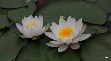 IMG_3138.JPG