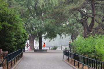 IMG_3149.JPG