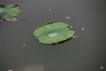 IMG_3151.JPG