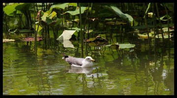 IMG_3761.jpg