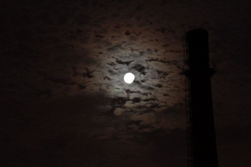 IMG_4296.JPG