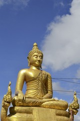 IMG_4266.JPG