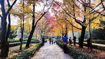 20141115_080916