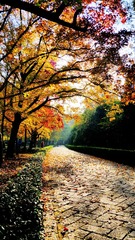 20141115_081738