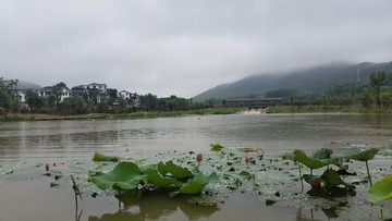 20140705_123808