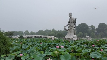 20140726_091154