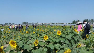 20141004_112818