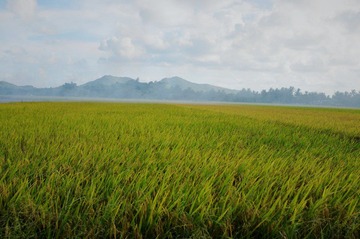 修改DSC_0365.jpg