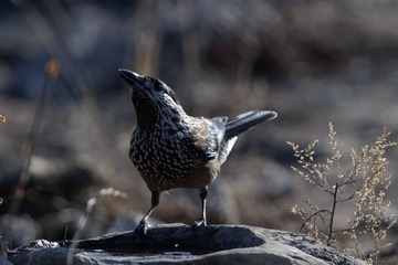 31190