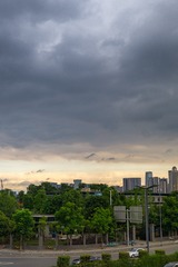 1447630