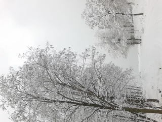 20140210_095621