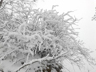 20140208_172309