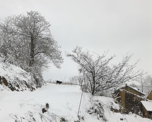 20140209_130219_