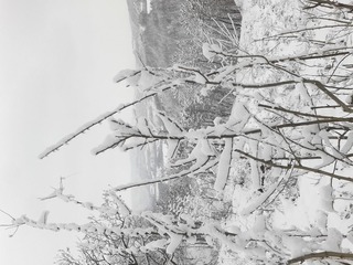 20140209_130816