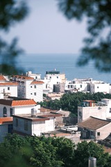 DE8109DB-4473-4690-A923-BA28D2763014/L0/001