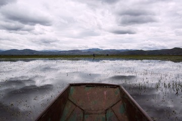 ZZJ_9377