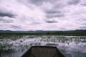 ZZJ_9381
