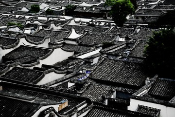ZZJ_0153(无水印)