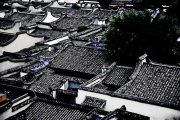 ZZJ_0172(无水印)