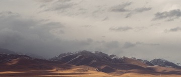 L1003803