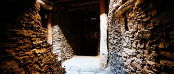 L1003607