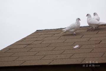 20140502-P1250260