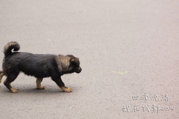 20140501-P1250073