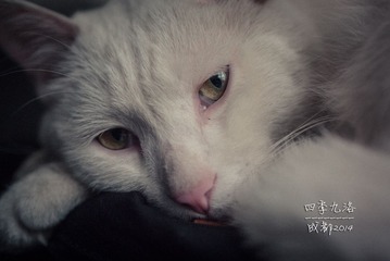 20140501-P1250248