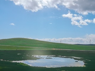 2558516