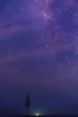 750_0091