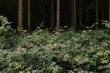 DSC_0147-HDR